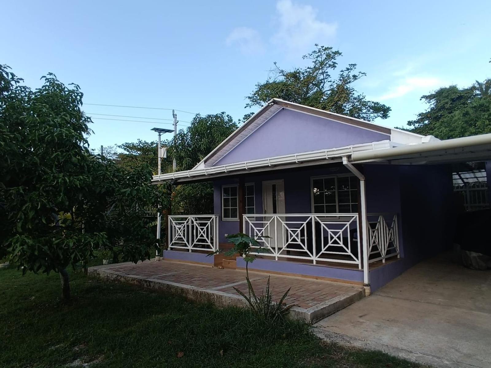 Вілла Blue Lizard House Сан-Андрес Номер фото